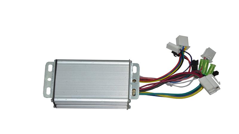 BEYİN (GERİ DÖNÜŞÜM) (ECOBIKE)